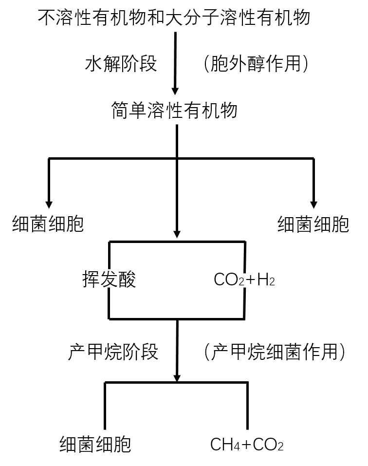 e9.png