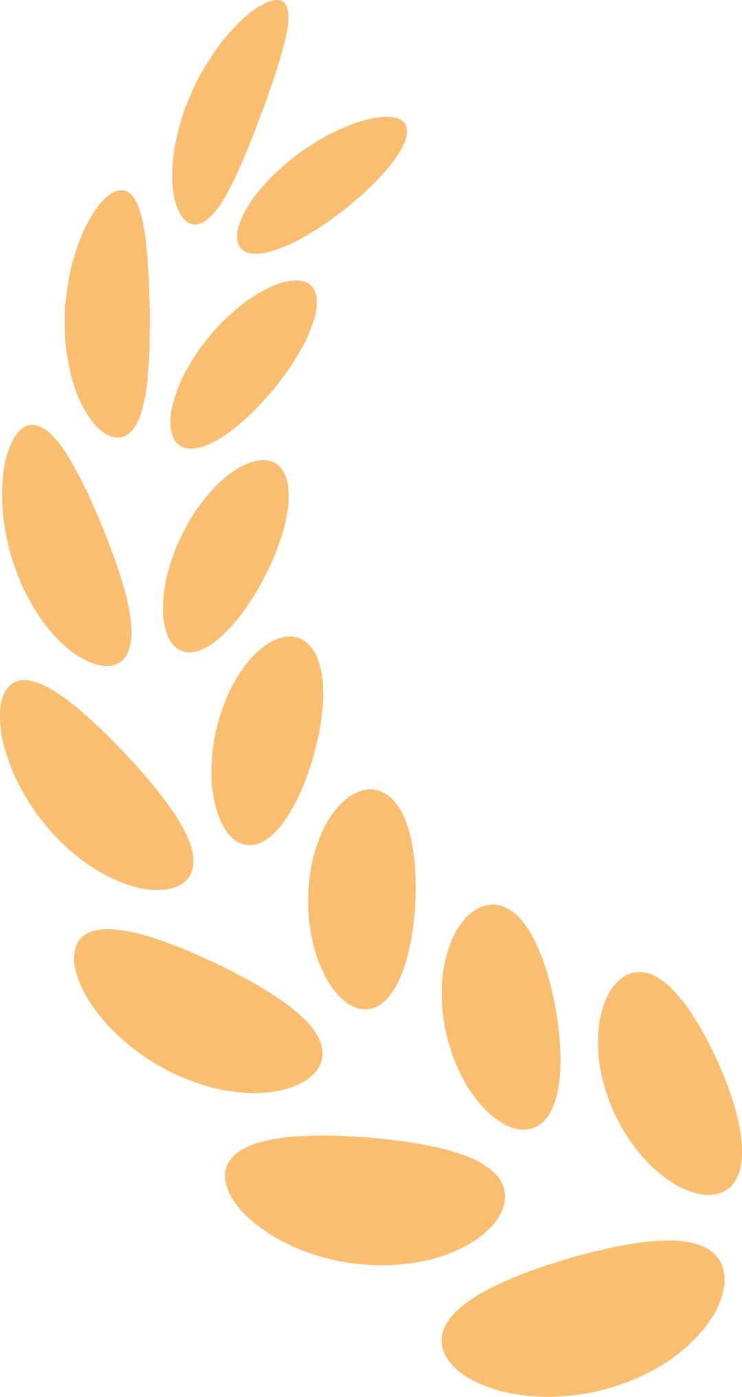 1762765108405085.webp j2.webp